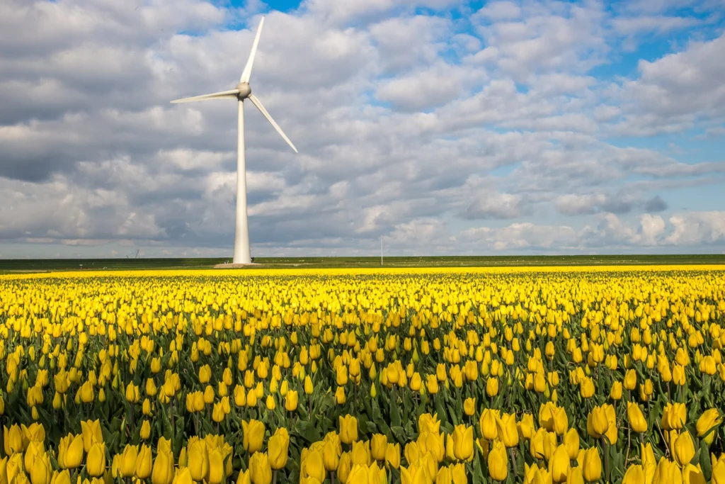 windturbine in het landschap